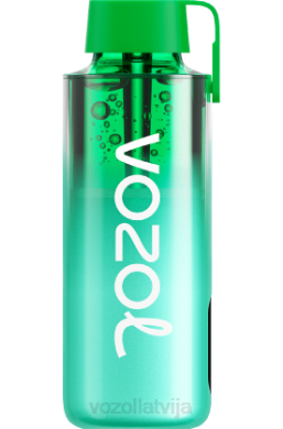 48FF229 VOZOL NEON 10 000 maiami piparmētra VOZOL Vape Sale