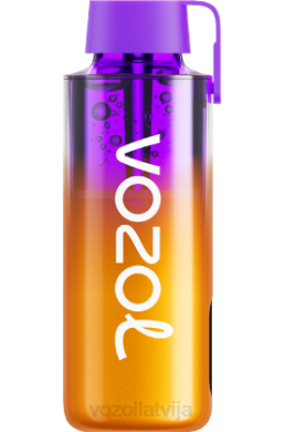 48FF235 VOZOL NEON 10 000 jauktas ogas VOZOL Vape For Sale