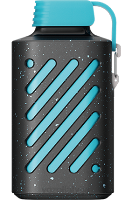 48FF284 VOZOL GEAR 10 000 zils razz ledus VOZOL Vape Price