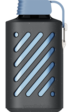 48FF285 VOZOL GEAR 10 000 zils razz citrons VOZOL Vape For Sale