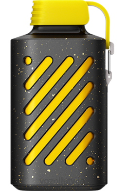 48FF295 VOZOL GEAR 10 000 kivi marakujas gvajava VOZOL Vape For Sale