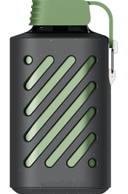 48FF297 VOZOL GEAR 10 000 sulīgs ledus VOZOL Vape Buy