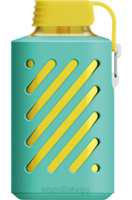 48FF298 VOZOL GEAR 10 000 maiami piparmētra VOZOL Vape Flavors