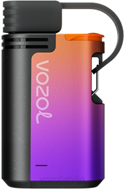 48FF325 VOZOL GEAR 4000c/6000 vīnogu ledus VOZOL Vape For Sale