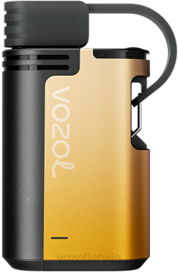 48FF327 VOZOL GEAR 4000c/6000 mango pasifloras auglis VOZOL Vape Buy