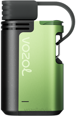 48FF329 VOZOL GEAR 4000c/6000 arbūzu ledus VOZOL Vape Sale