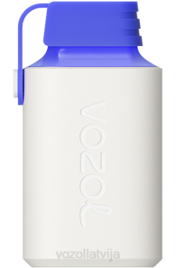 48FF346 VOZOL GEAR 600 zils razz citrons VOZOL Vape Store