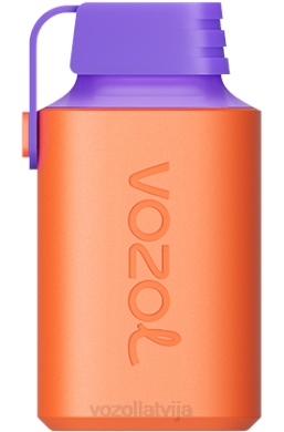 48FF348 VOZOL GEAR 600 dzērveņu vīnogu ledus VOZOL Vape Flavors