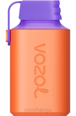 48FF360 VOZOL GEAR 600 kazenes ledus VOZOL Vape Review