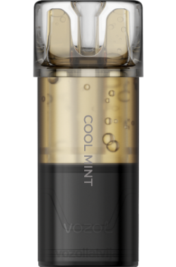 48FF174 VOZOL SWITCH pro forša piparmētra VOZOL Vape Price