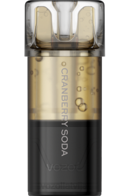 48FF175 VOZOL SWITCH pro dzērveņu soda VOZOL Vape For Sale