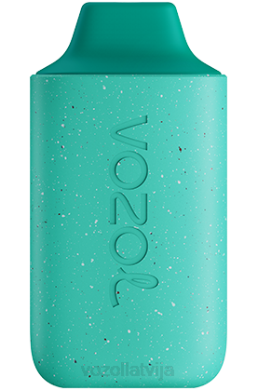 48FF110 VOZOL STAR 6000 forša piparmētra VOZOL Vape Review