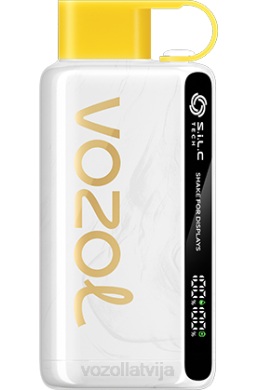 48FF25 VOZOL STAR 9000/12000 kivi marakujas gvajava VOZOL Vape For Sale