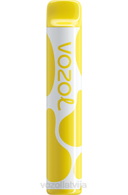 48FF376 VOZOL JOYGO 600 banānu ledus VOZOL Vape Store
