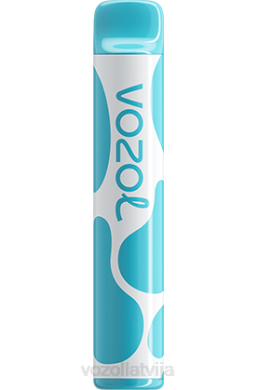 48FF377 VOZOL JOYGO 600 melleņu skāba aveņu VOZOL Vape Buy