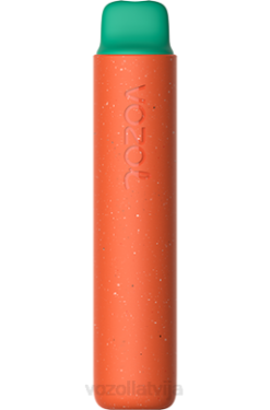 48FF163 VOZOL STAR 2000. gads aveņu arbūzs VOZOL Riga