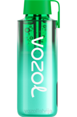 48FF229 VOZOL NEON 10 000 maiami piparmētra VOZOL Vape Sale