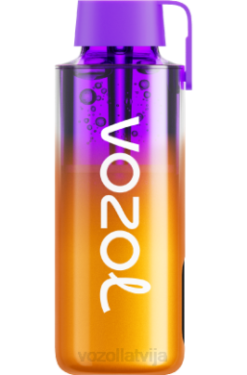 48FF245 VOZOL NEON 10 000 citronu laima VOZOL Vape For Sale