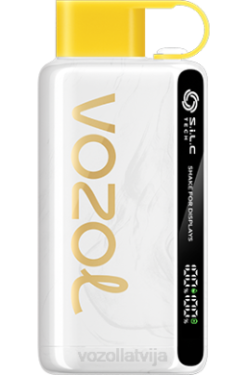 48FF25 VOZOL STAR 9000/12000 kivi marakujas gvajava VOZOL Vape For Sale