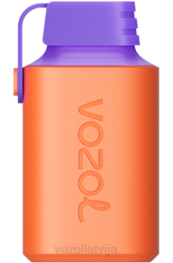 48FF353 VOZOL GEAR 600 ličī gvajaves arbūzs VOZOL Riga